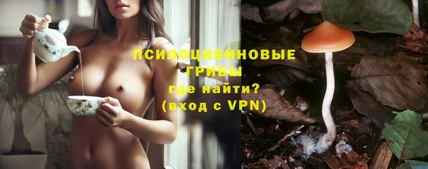 МДПВ Белокуриха