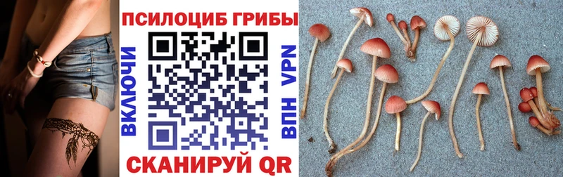 Галлюциногенные грибы мухоморы  Макаров 