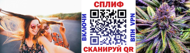 Конопля сатива  Макаров 